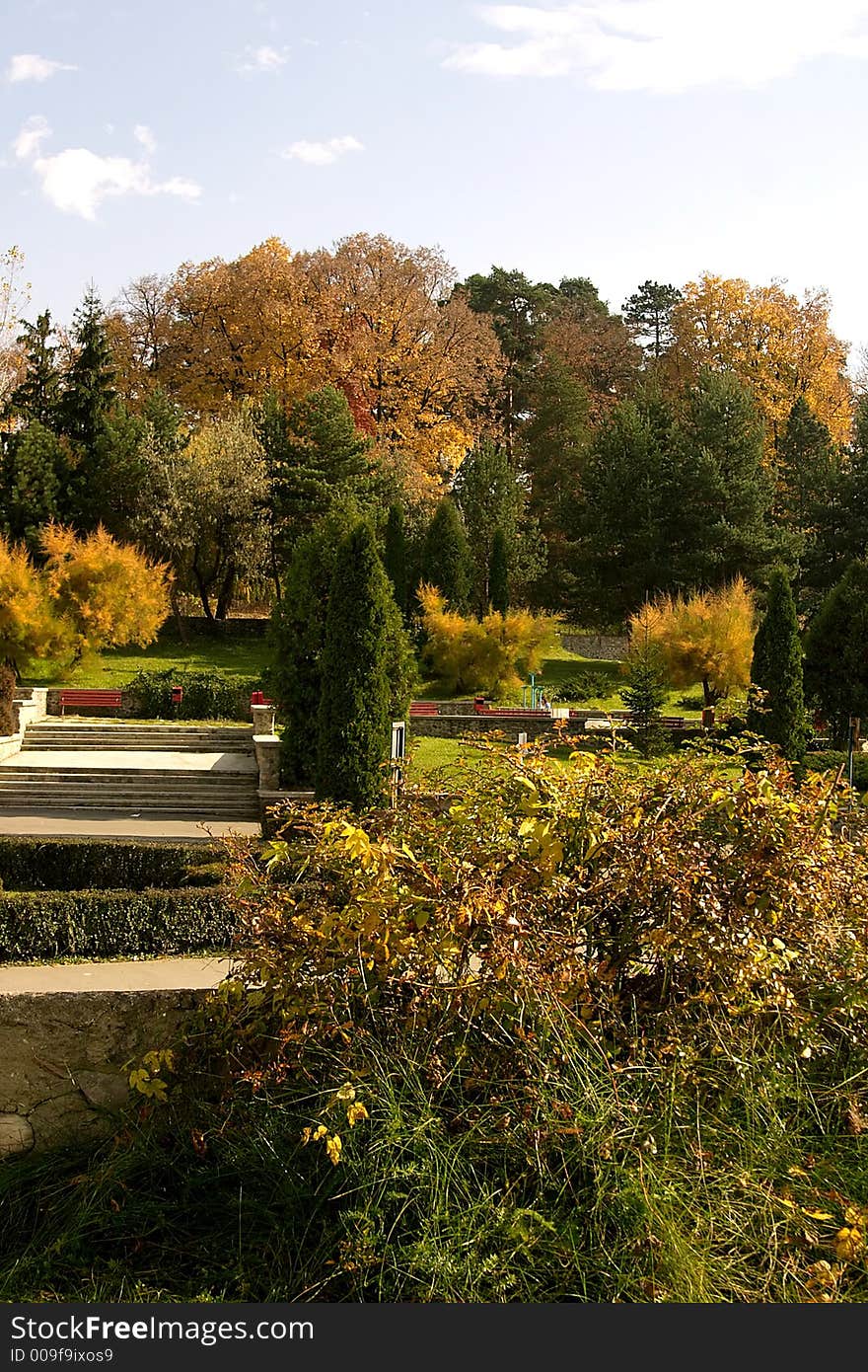 Beautiful trees in autumn colors