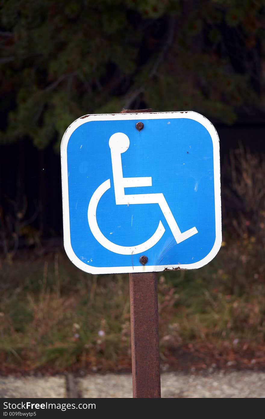 Blue sign - parking lot for wheelchair driver