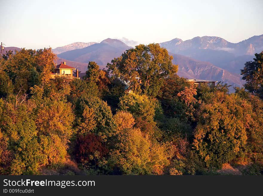 Autumn leaves - beautiful indian summer in utah, USA