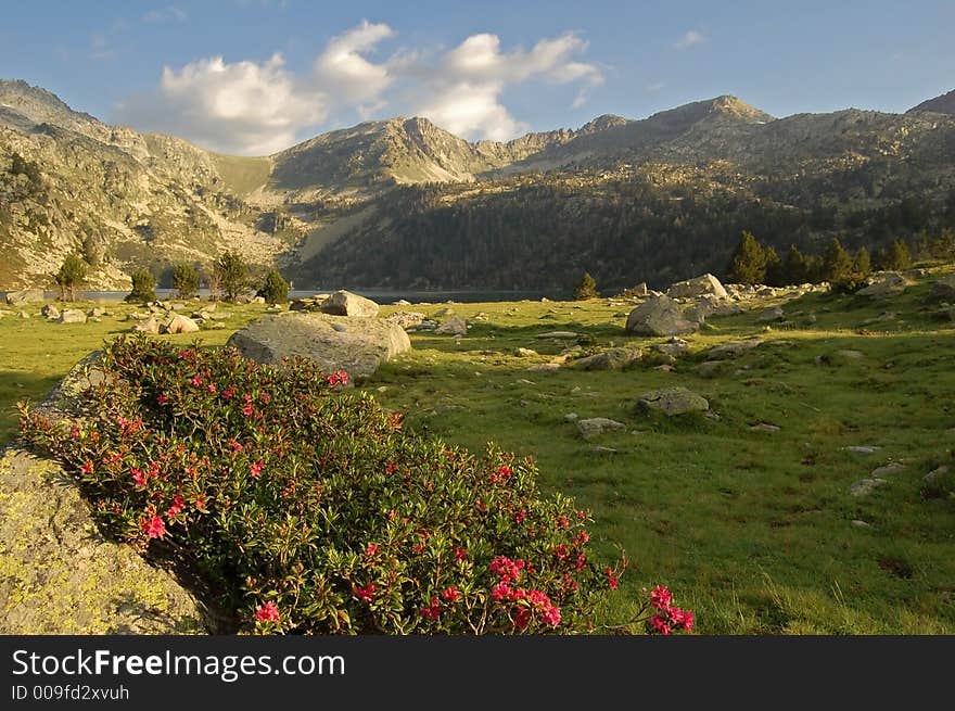 Pyrenees Mountains