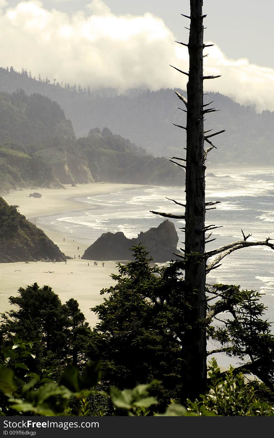 Oregon coast