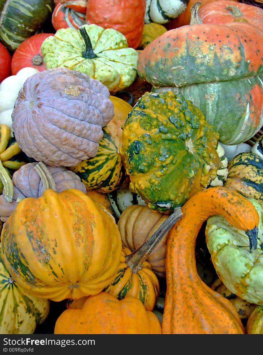 Autumn pumpkins