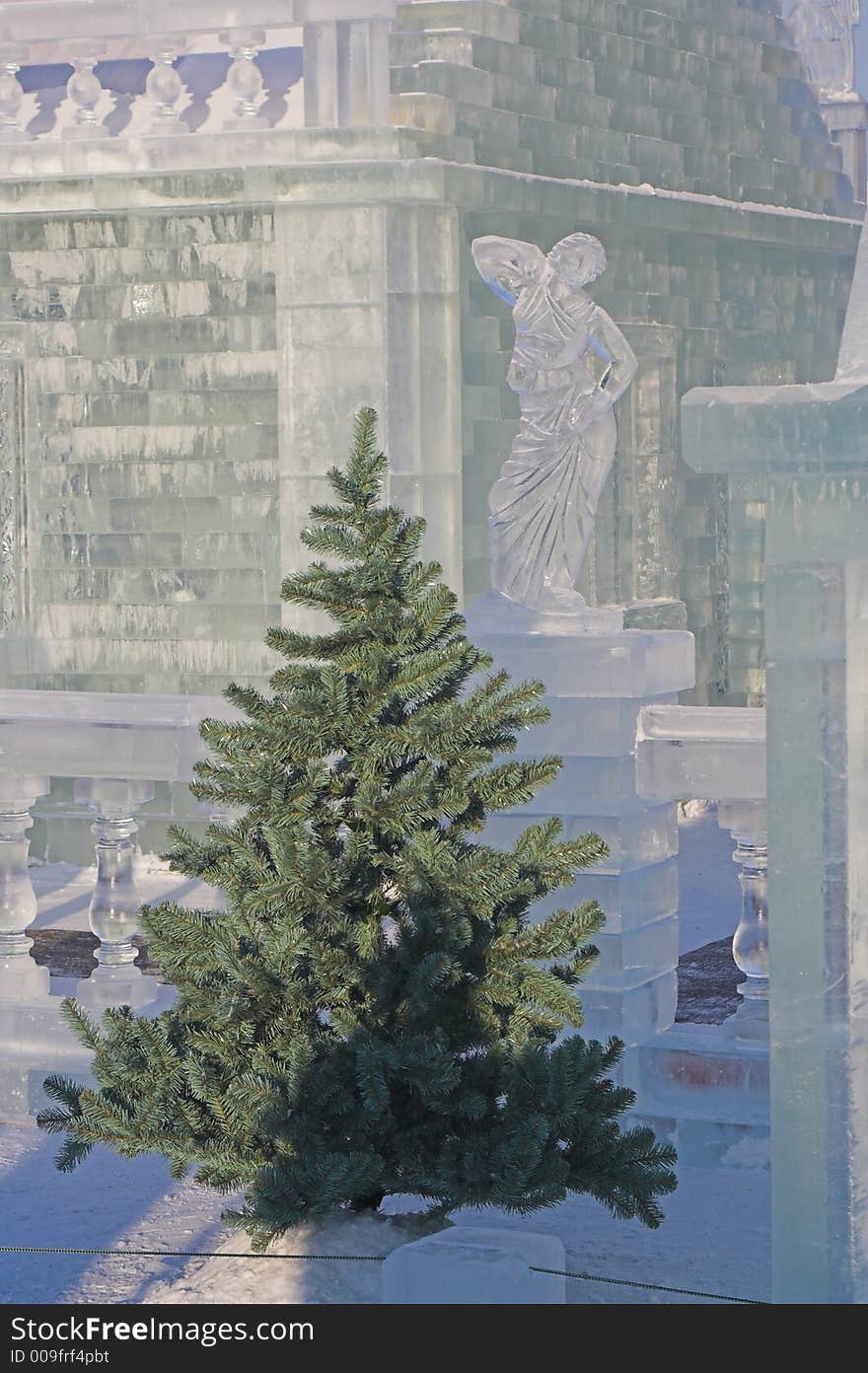 Fir-tree and ice sculpture