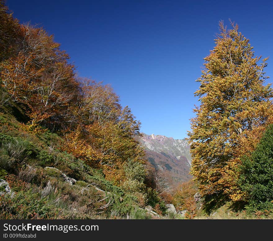 Taken in the french (Pre)Pyrenees, department Pyrenees atlantique, shortly before the Somport pass. Taken in the french (Pre)Pyrenees, department Pyrenees atlantique, shortly before the Somport pass