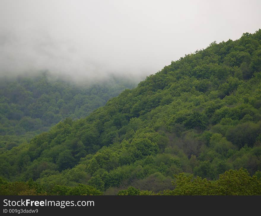 Foggy morning in the mountain, scary a little. Foggy morning in the mountain, scary a little