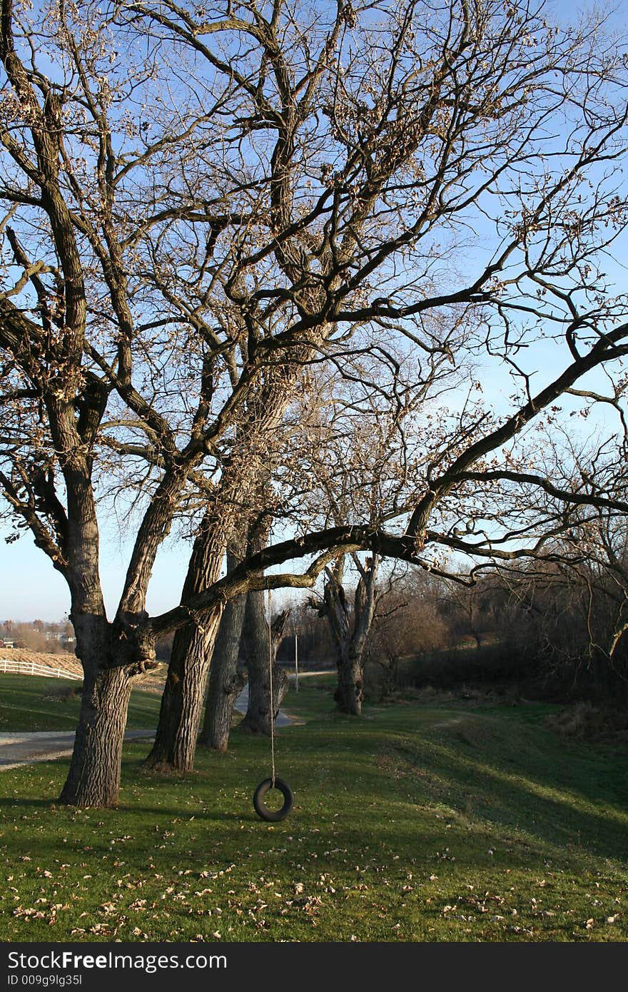 Old tire swing on the farm