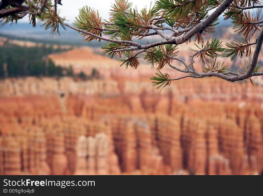 Amphitheater - Bryce Canyon