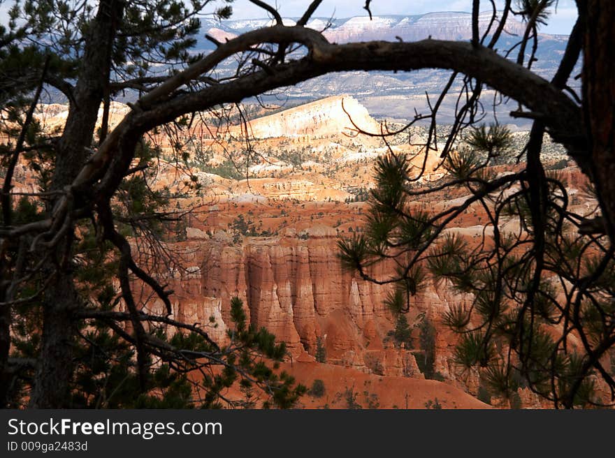 View In Amphitheater - Bryce Canyon