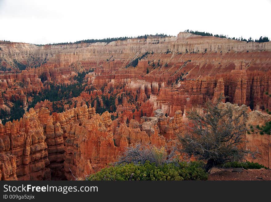 Hoodoos in Amphitheater - Bryce Canyon