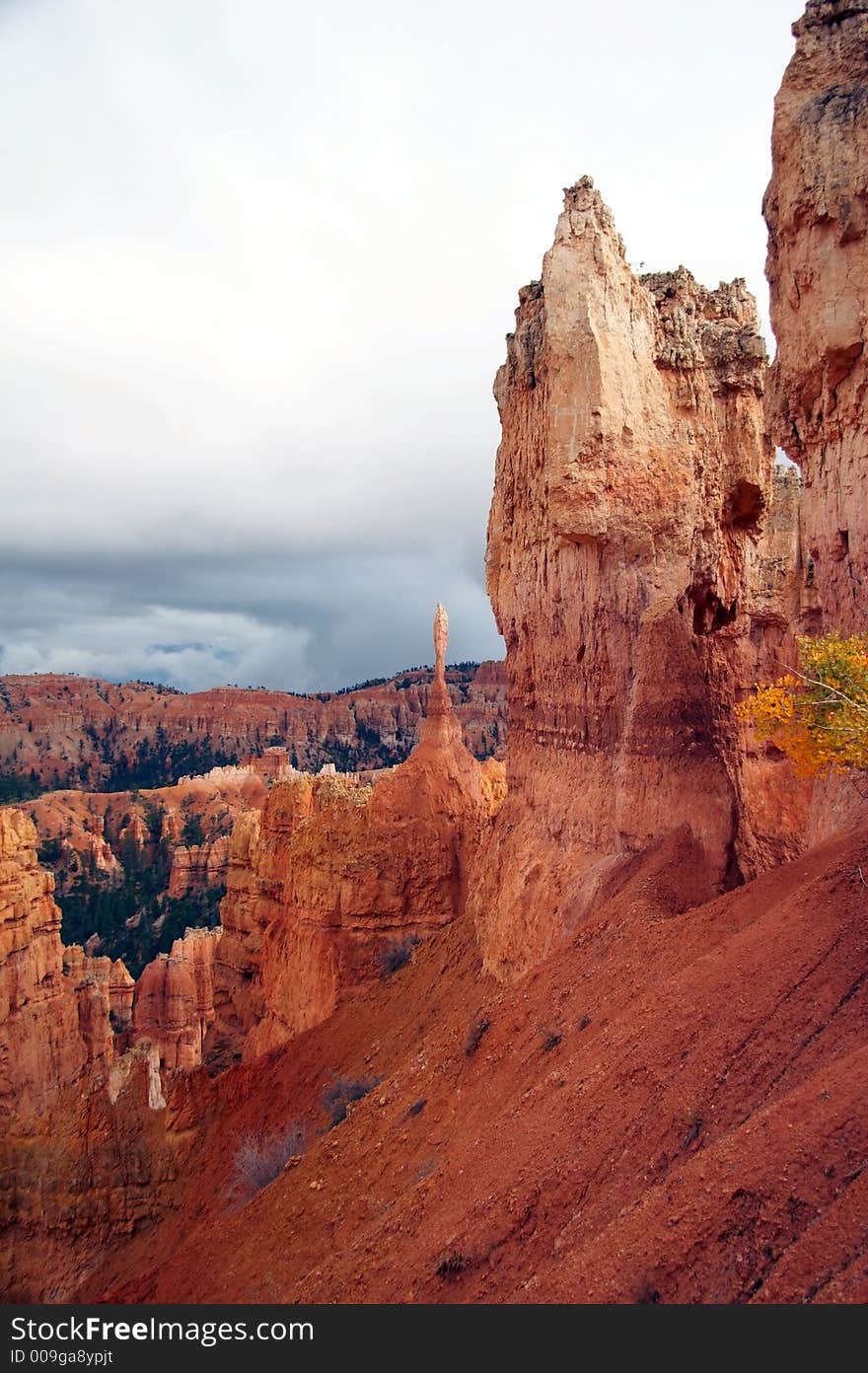 View in Amphitheater - Bryce Canyon