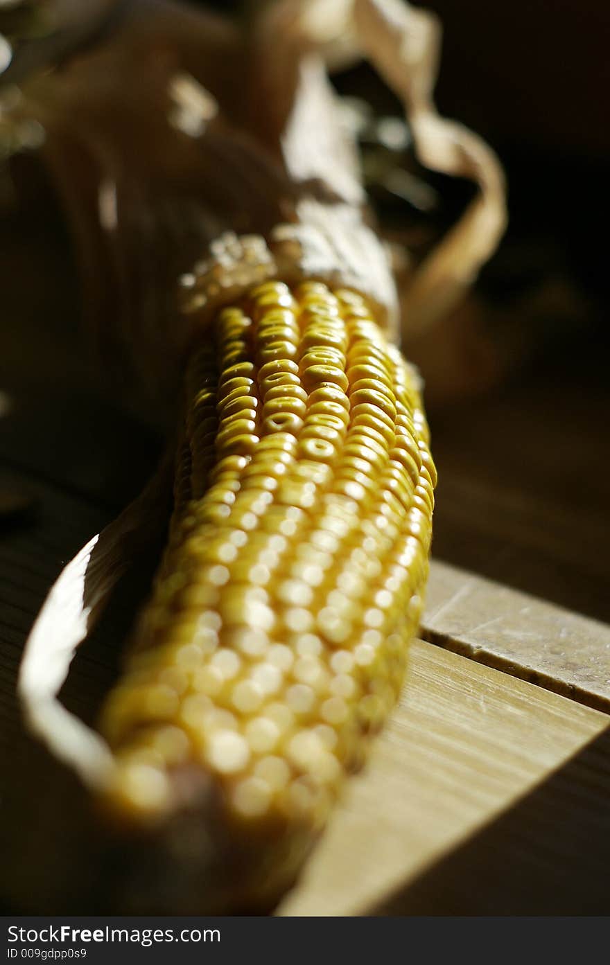 A corncob with shallow depth of field