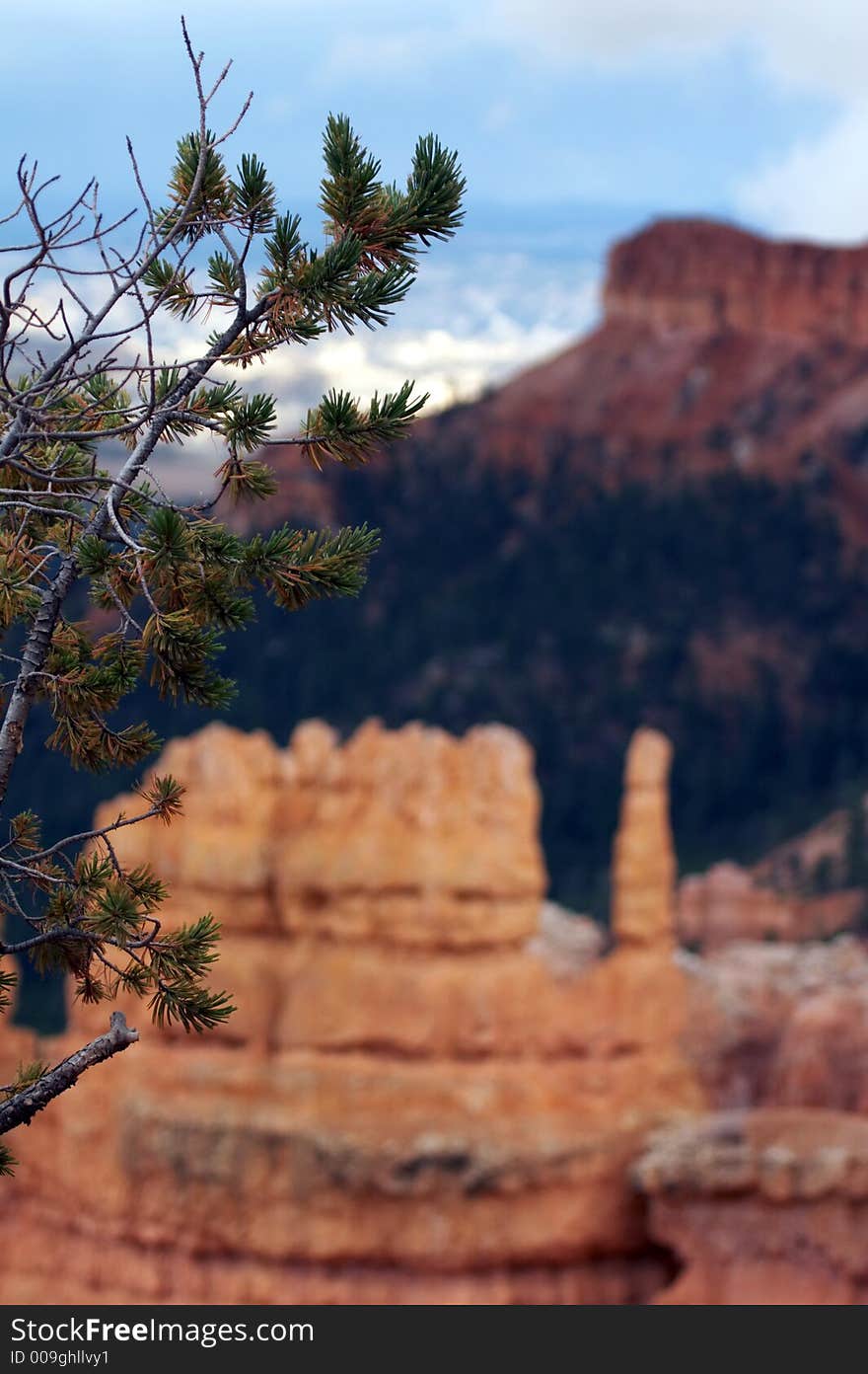 Amphitheater - Bryce Canyon