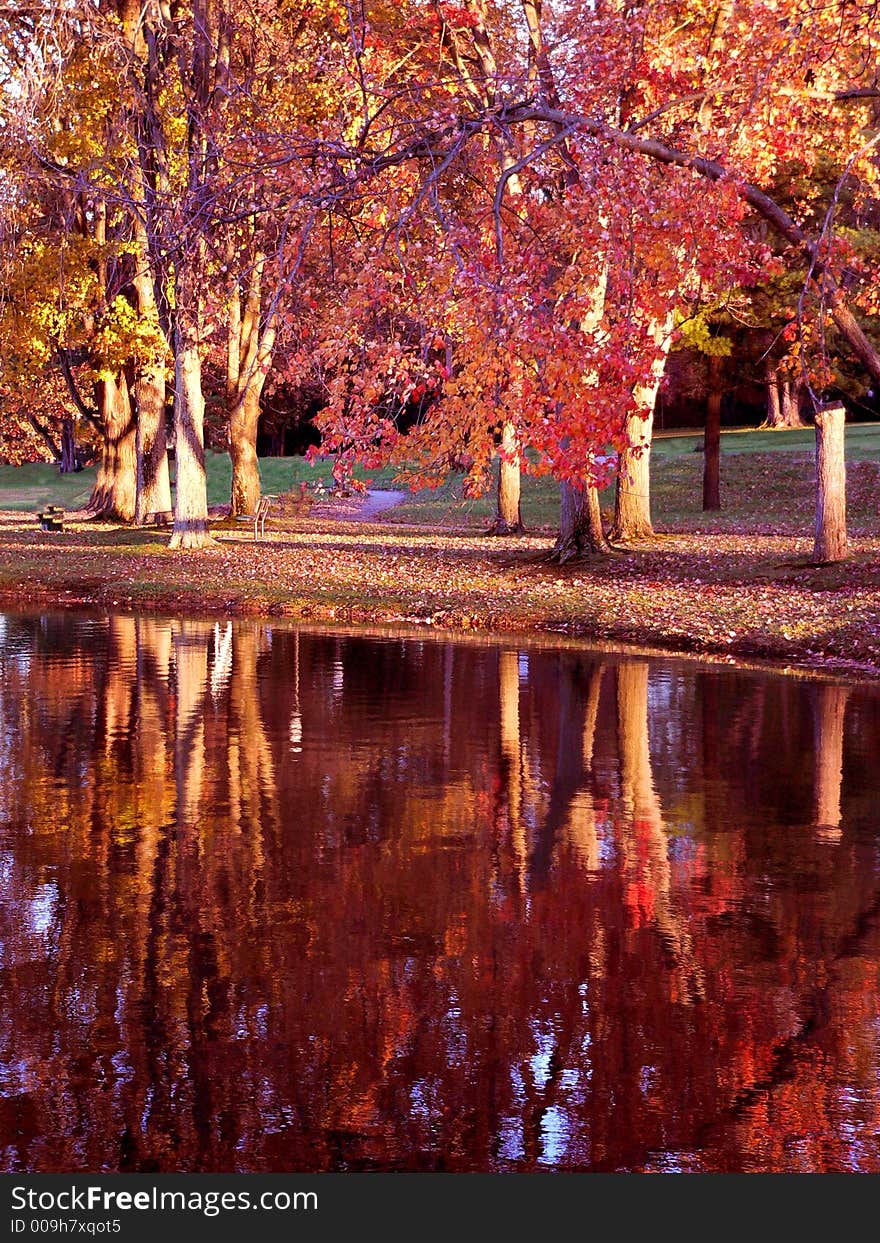 Lake with trees in autumn colors reflected. Lake with trees in autumn colors reflected