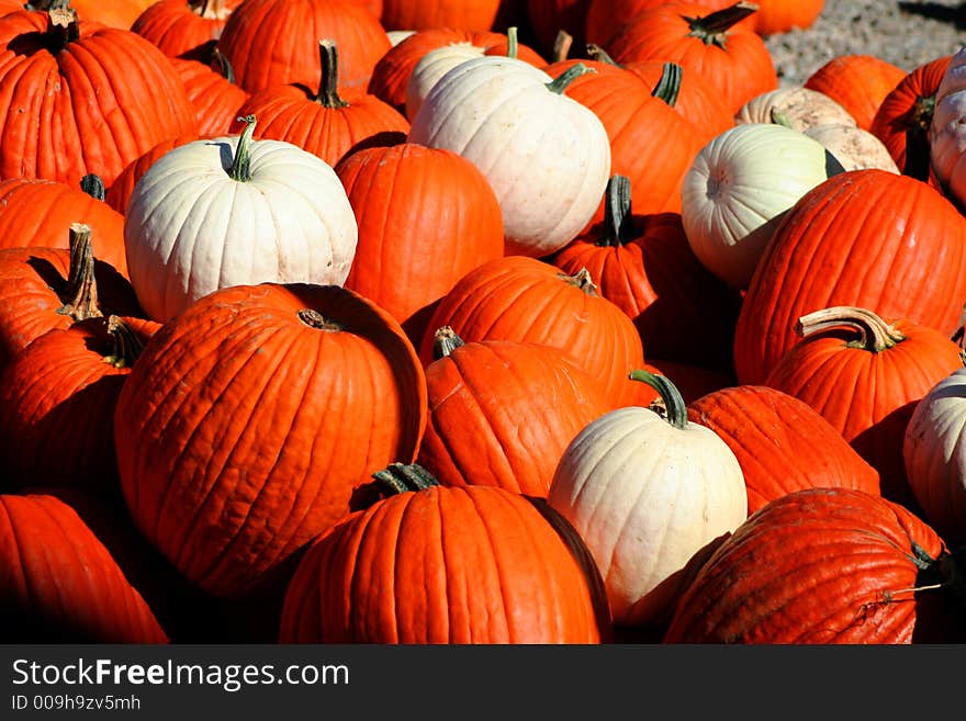 Pumpkin Pile