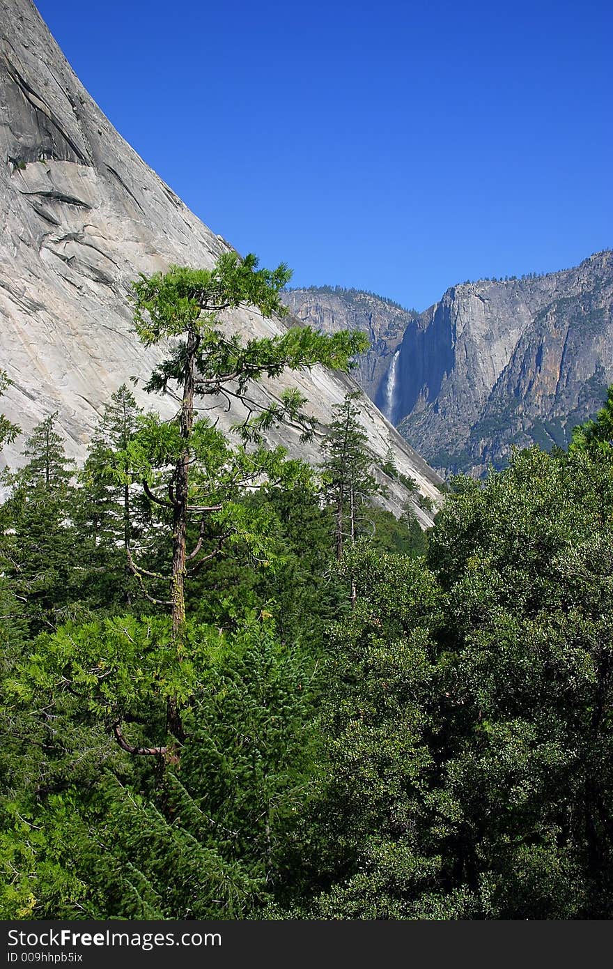 The Yosemite Valley in Yosemite National Park, California. The Yosemite Valley in Yosemite National Park, California