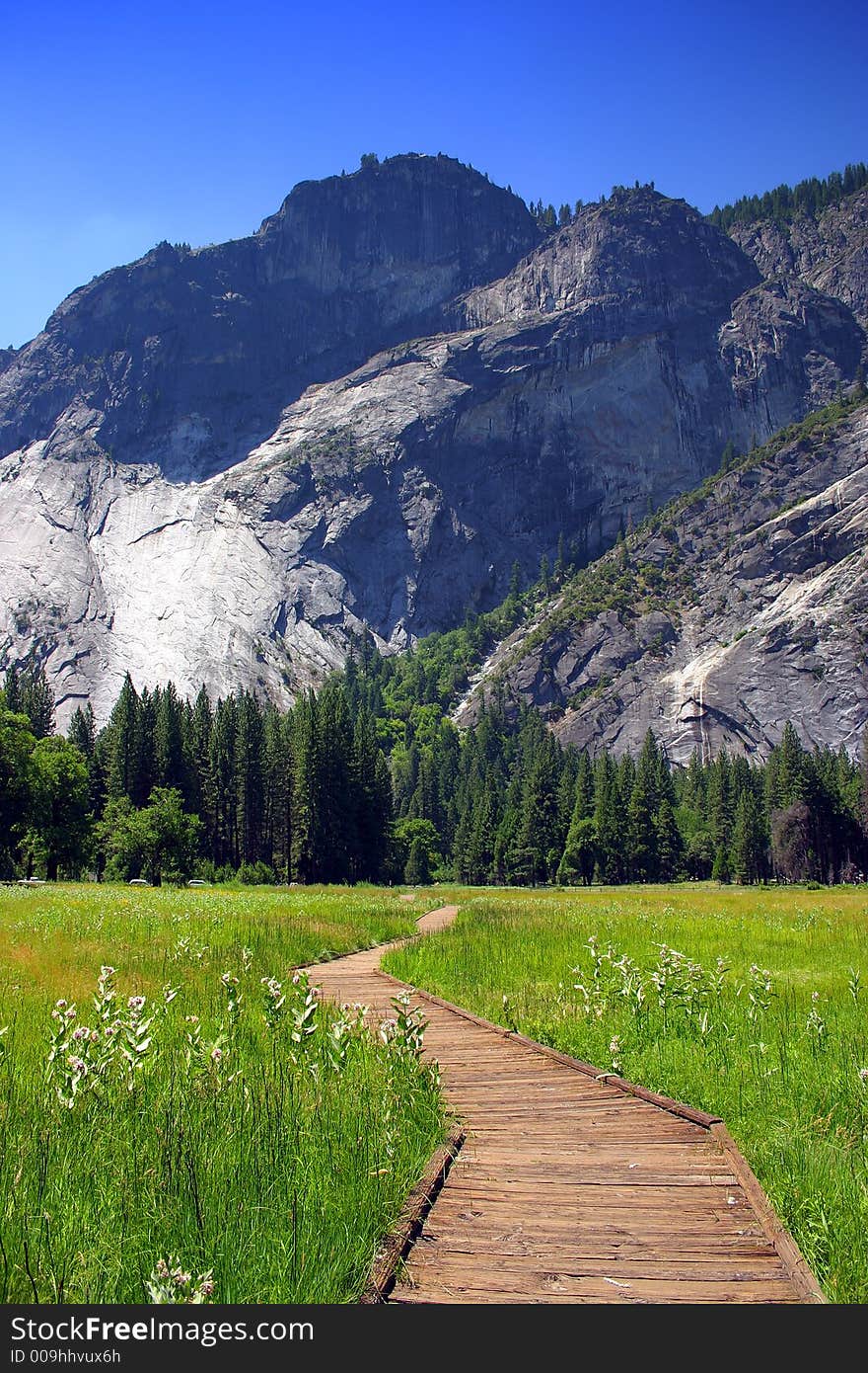 The Yosemite Valley in Yosemite National Park, California. The Yosemite Valley in Yosemite National Park, California