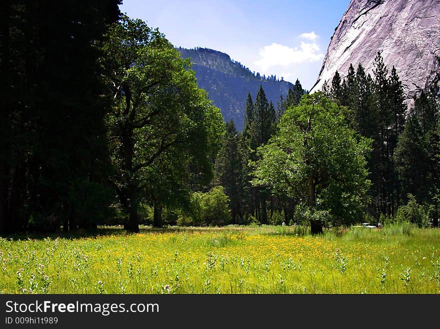 The Yosemite Valley in Yosemite National Park, California. The Yosemite Valley in Yosemite National Park, California