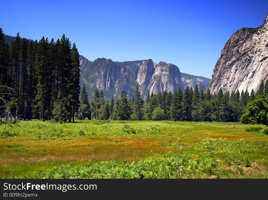 The Yosemite Valley in Yosemite National Park, California. The Yosemite Valley in Yosemite National Park, California