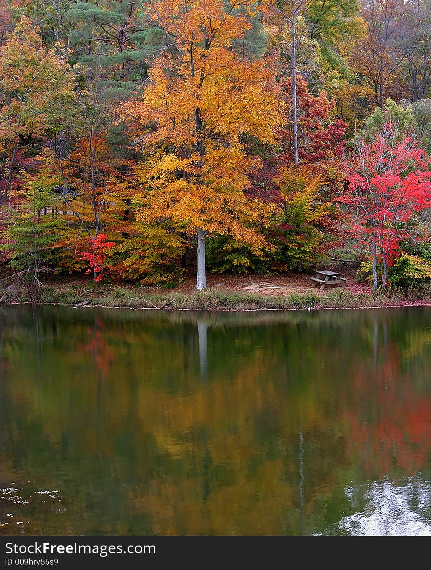 Autumn trees surrounding a lake with reflections in the water. Autumn trees surrounding a lake with reflections in the water.