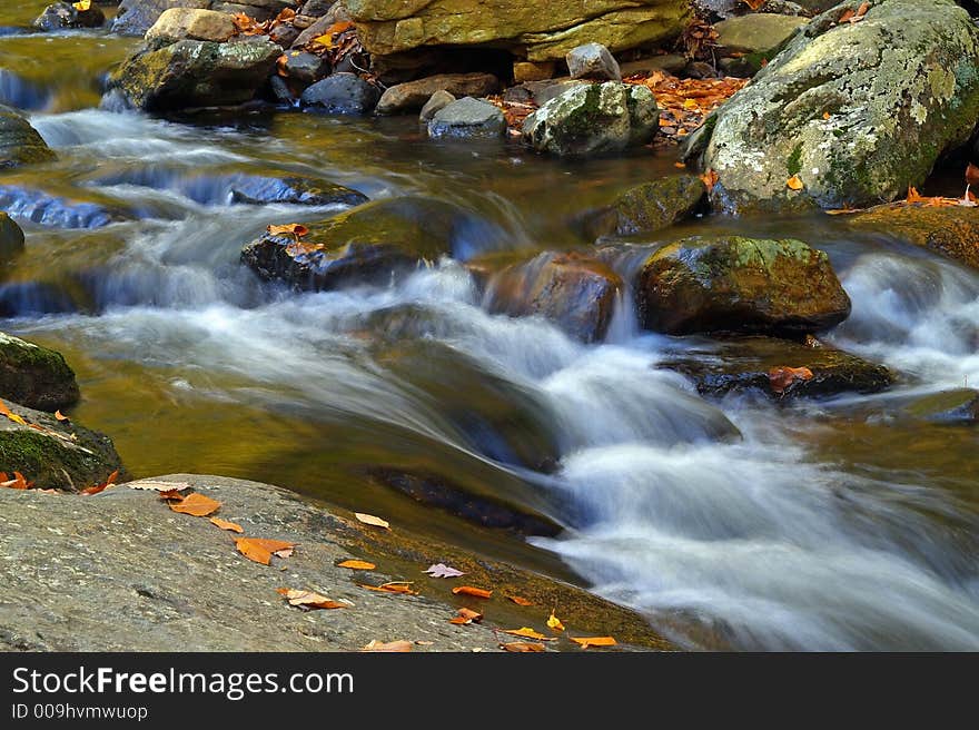 Stream in new jersey state park. Stream in new jersey state park