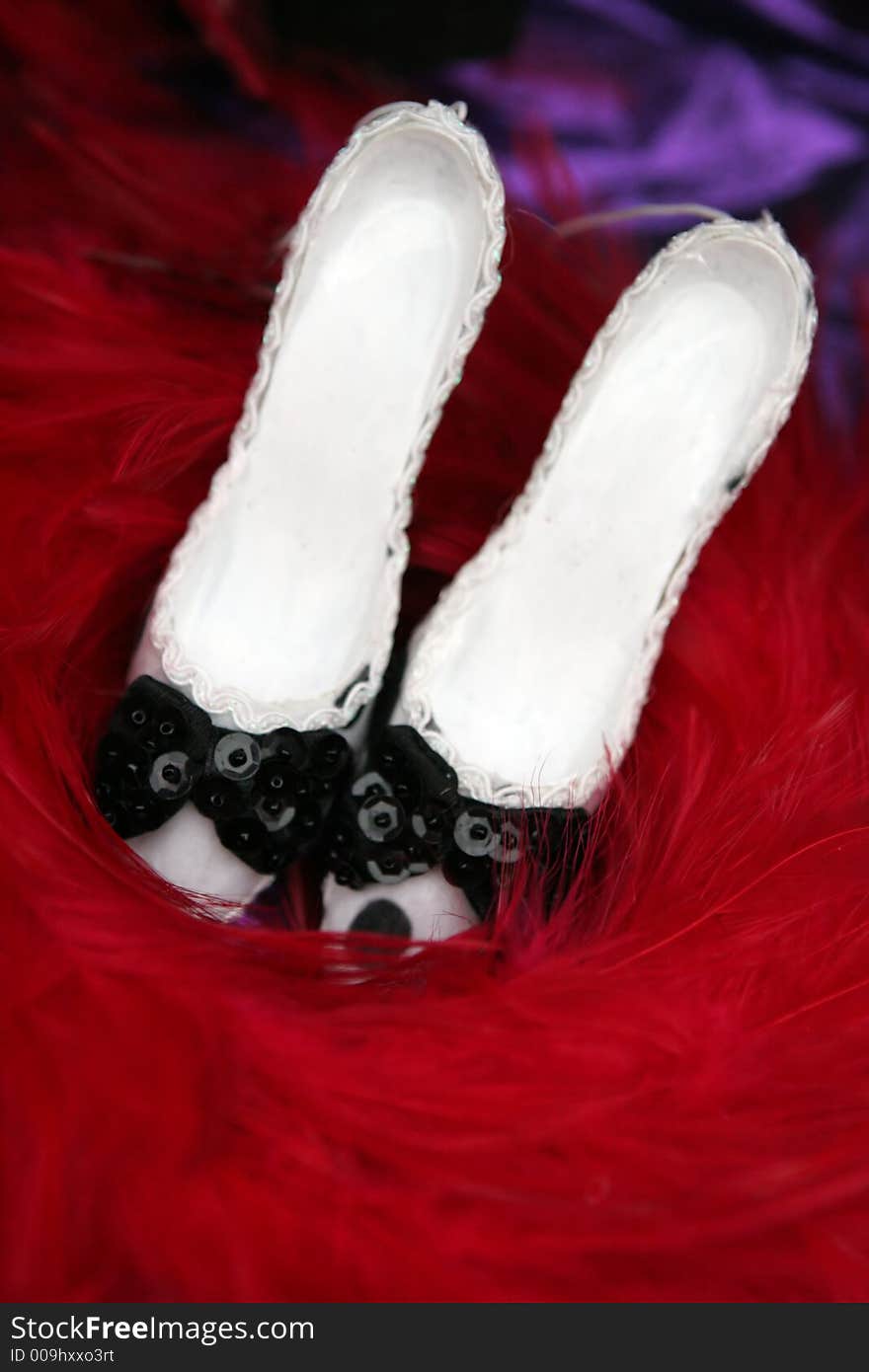 Dancing shoes surrounded by red feathers. Dancing shoes surrounded by red feathers