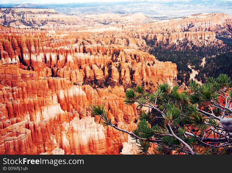 Amphitheater - Bryce Canyon