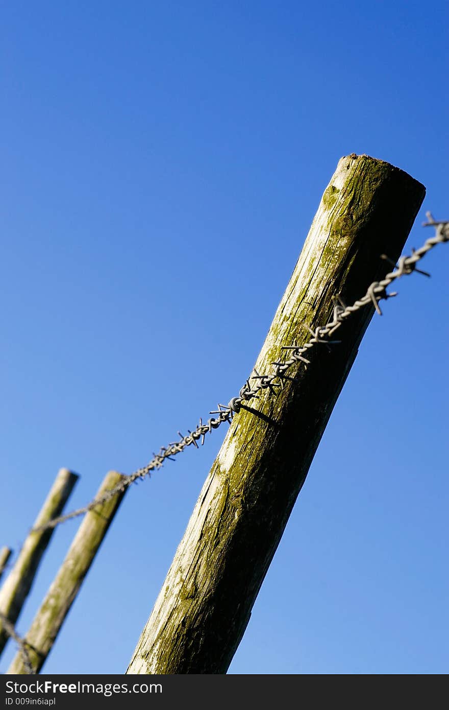 Barbed wire fence attached to wooden poles against blue sky