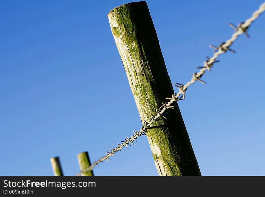 Barbed wire fence attached to wooden poles against blue sky