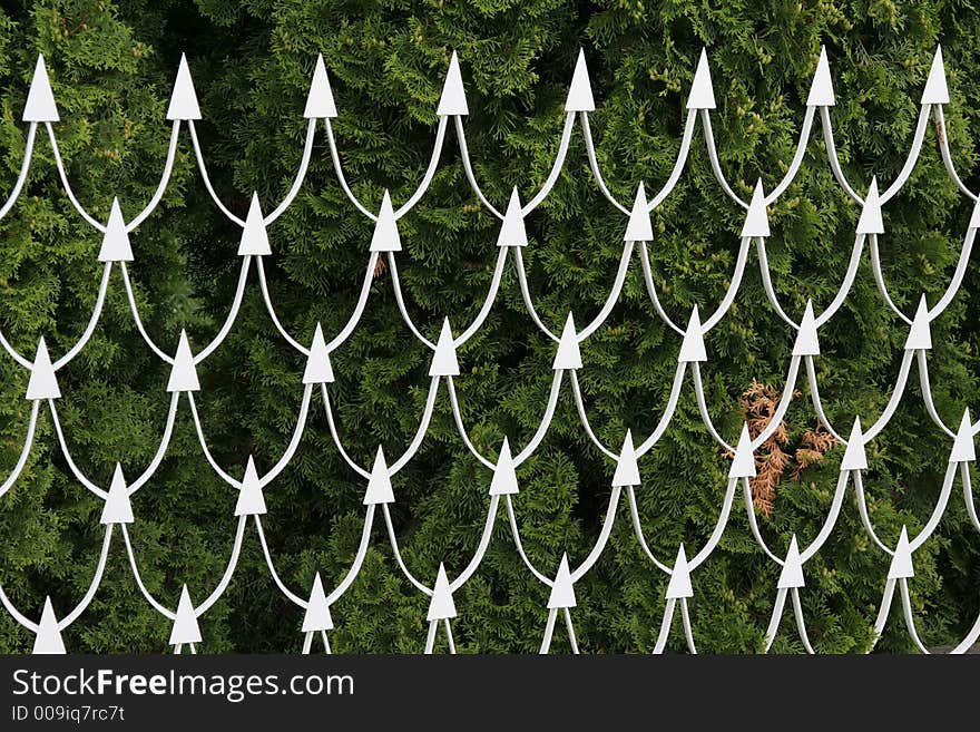 Fence with green background