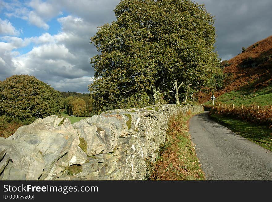 Country Lane