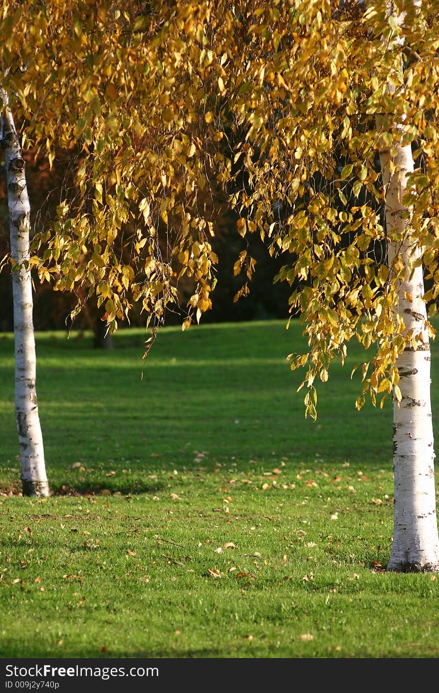 Autumn In Beckton Park London