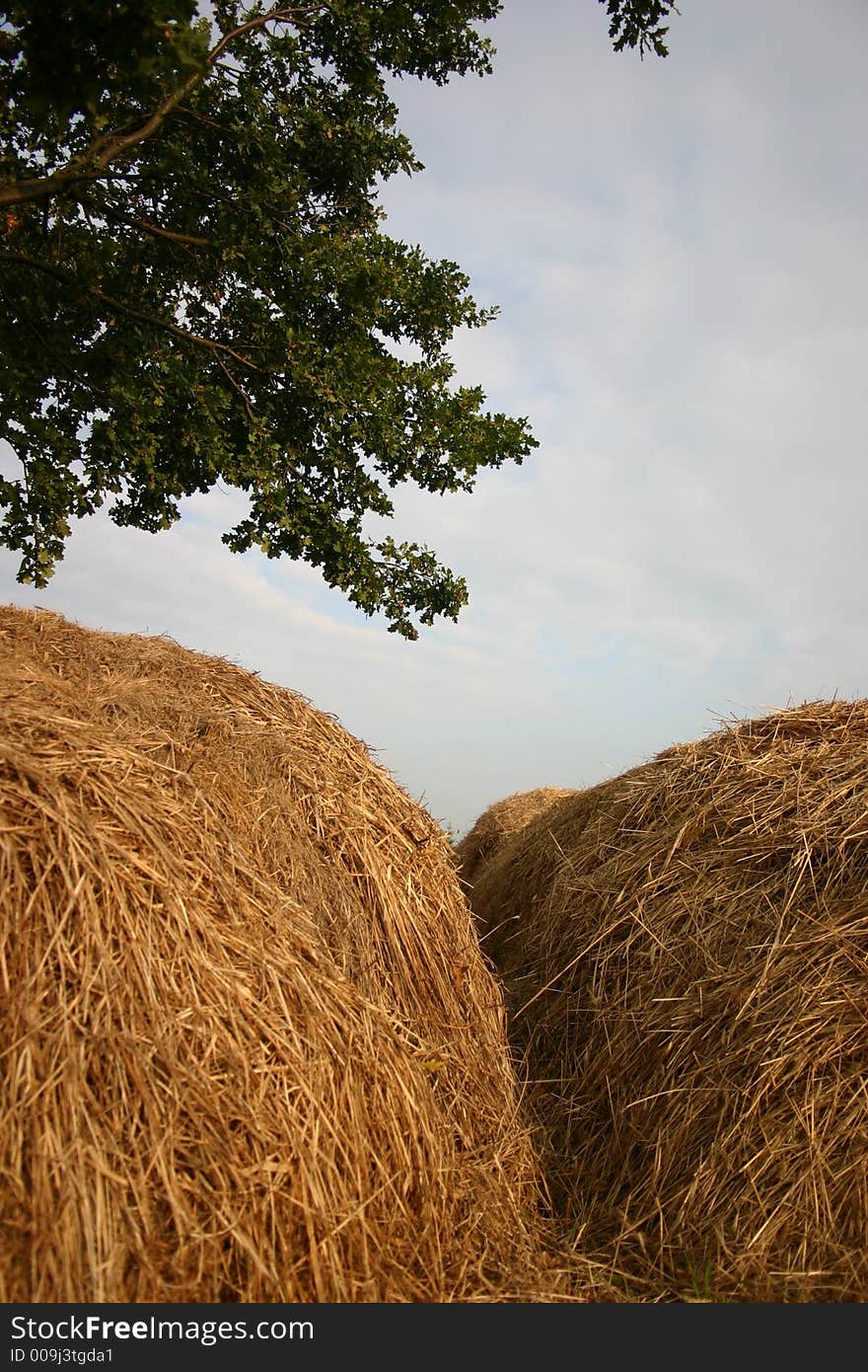 Haystack