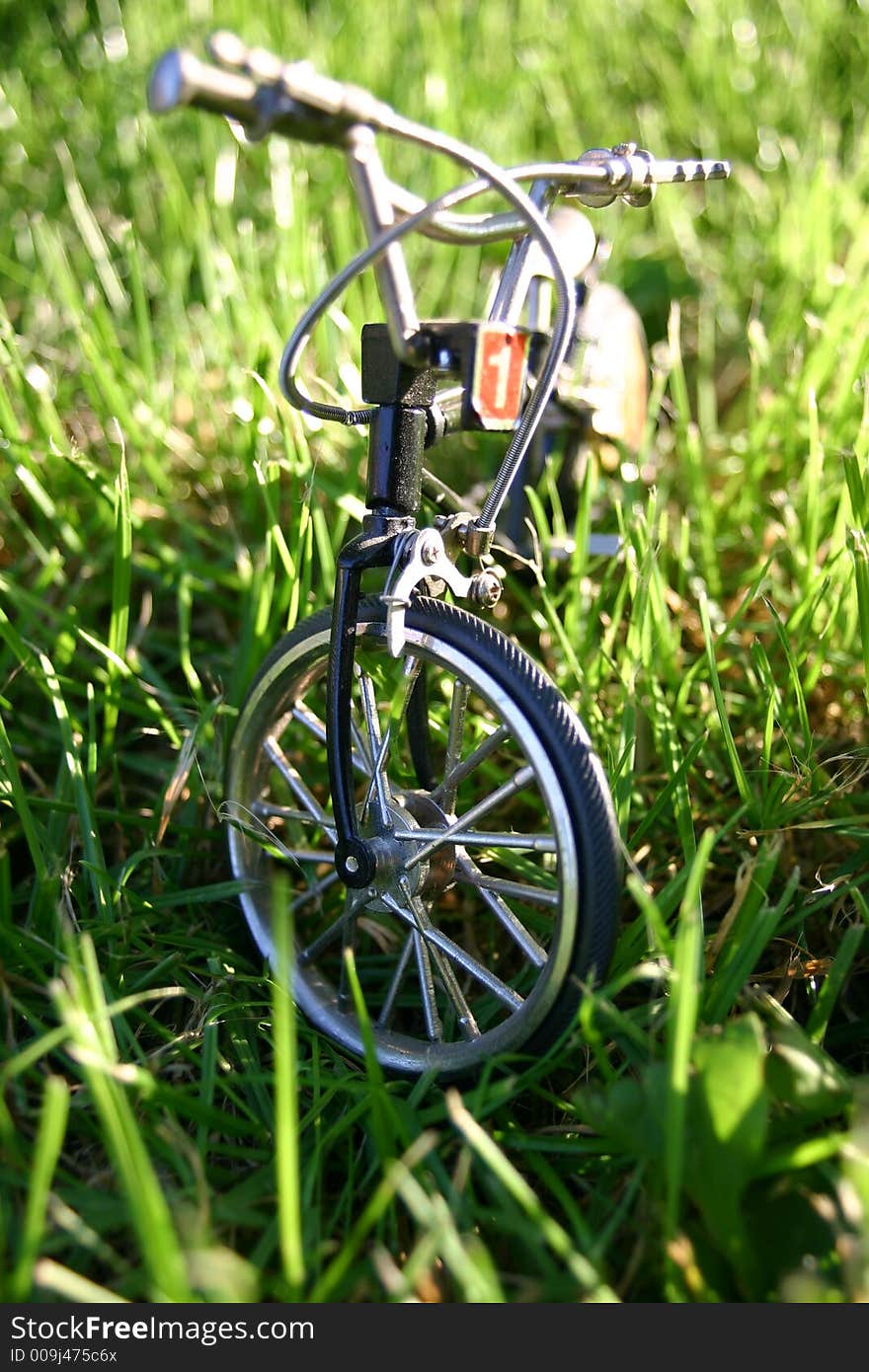 Bicycle In A Grass