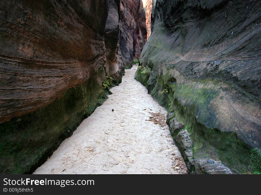 A dark and mossy hallway in beuhunan canyon zion. A dark and mossy hallway in beuhunan canyon zion