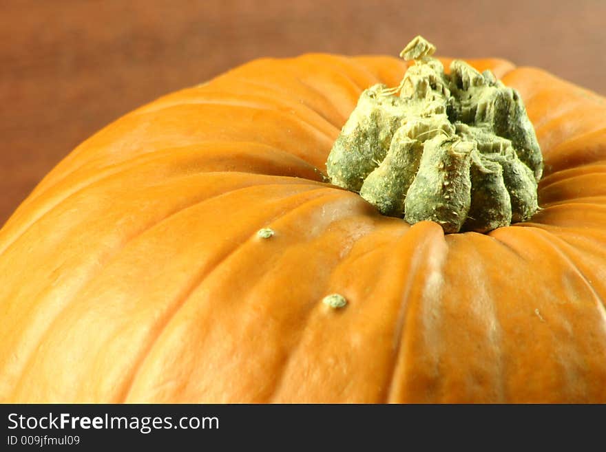 Macro shot of the top of a pumpkin