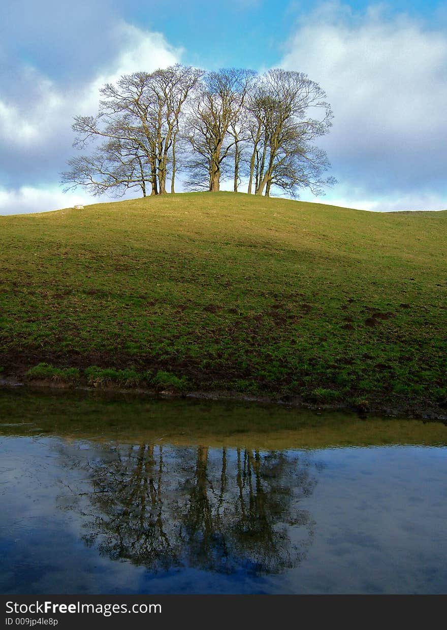 Reflection of trees in lake