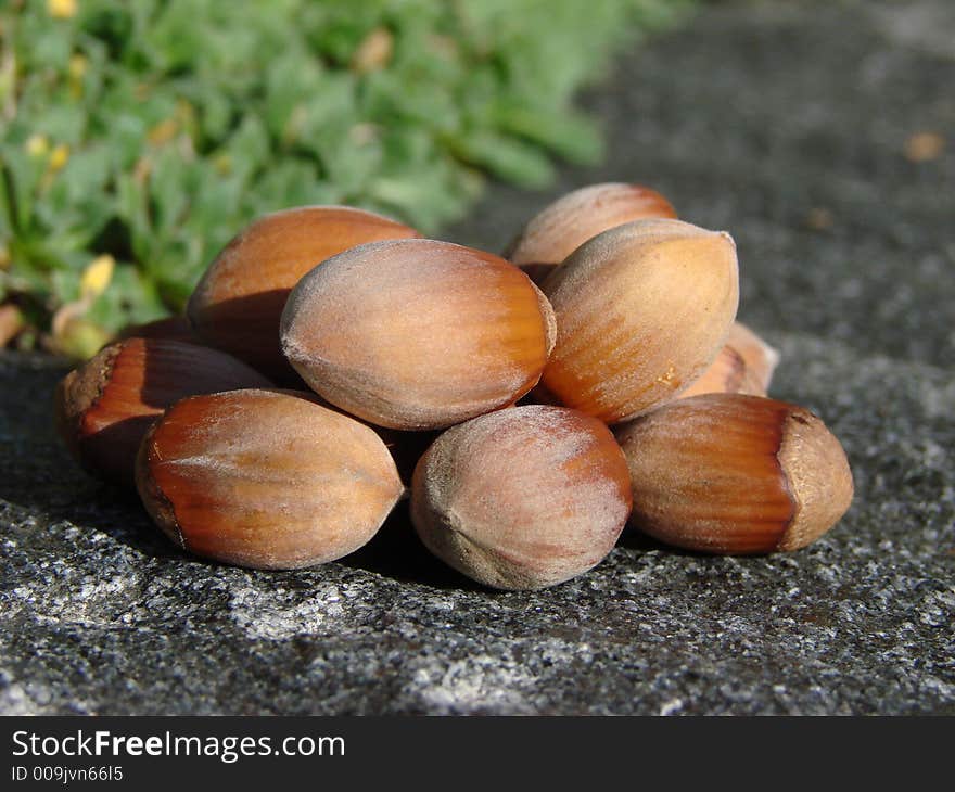 Hazelnuts