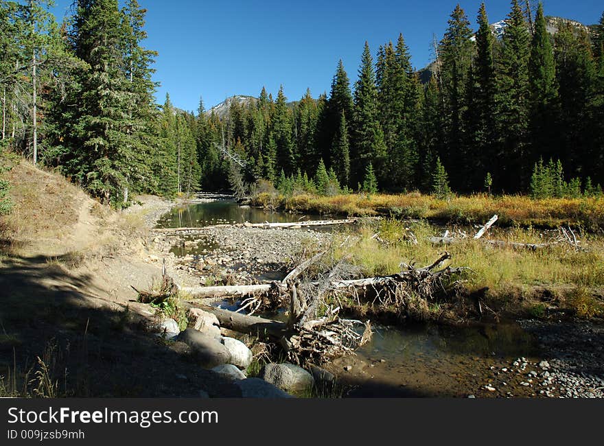 Stream in the high country in the fall of the year. Stream in the high country in the fall of the year