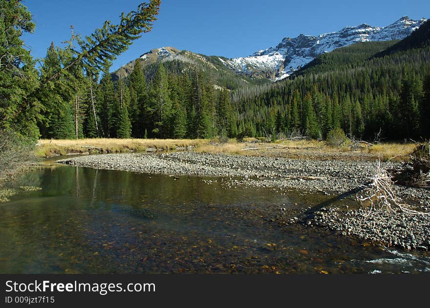 Stream in the high country in the fall of the year. Stream in the high country in the fall of the year