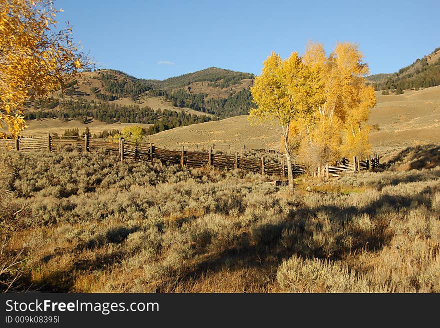 Beautiful Fall Colors