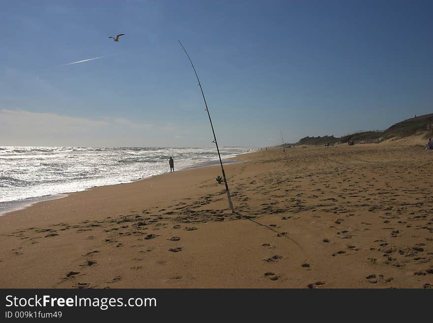 Fishing poles stuck in the sand on a windy beach. Fishing poles stuck in the sand on a windy beach