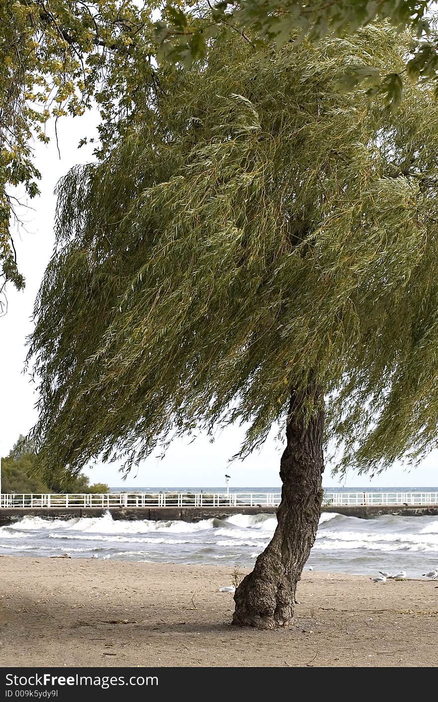 Autumn At The Beach