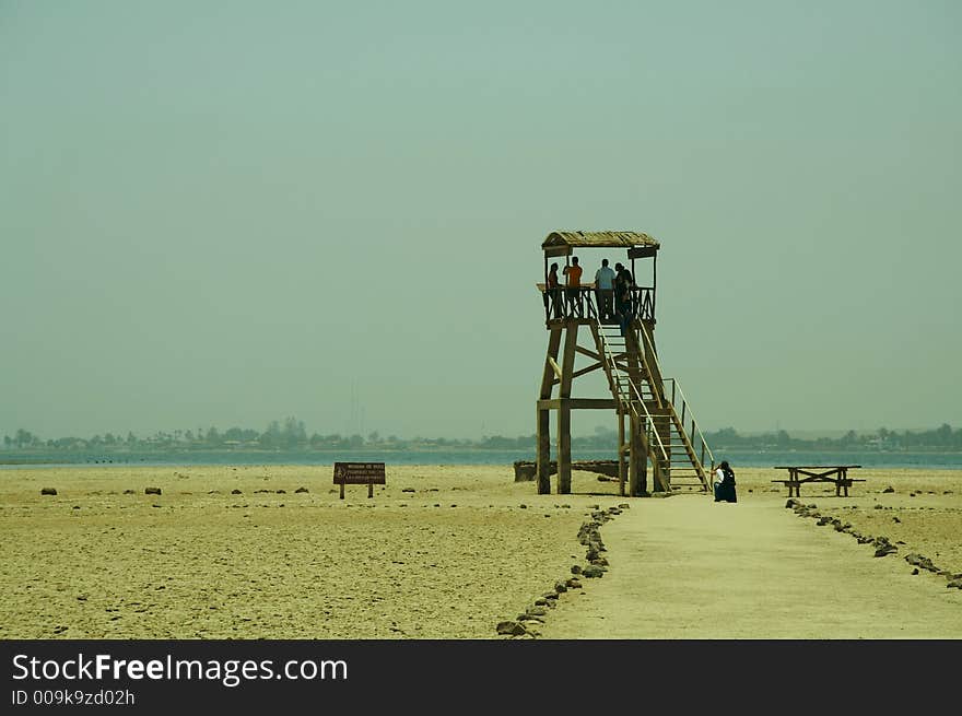 Tourists in the Paracas national park. Tourists in the Paracas national park