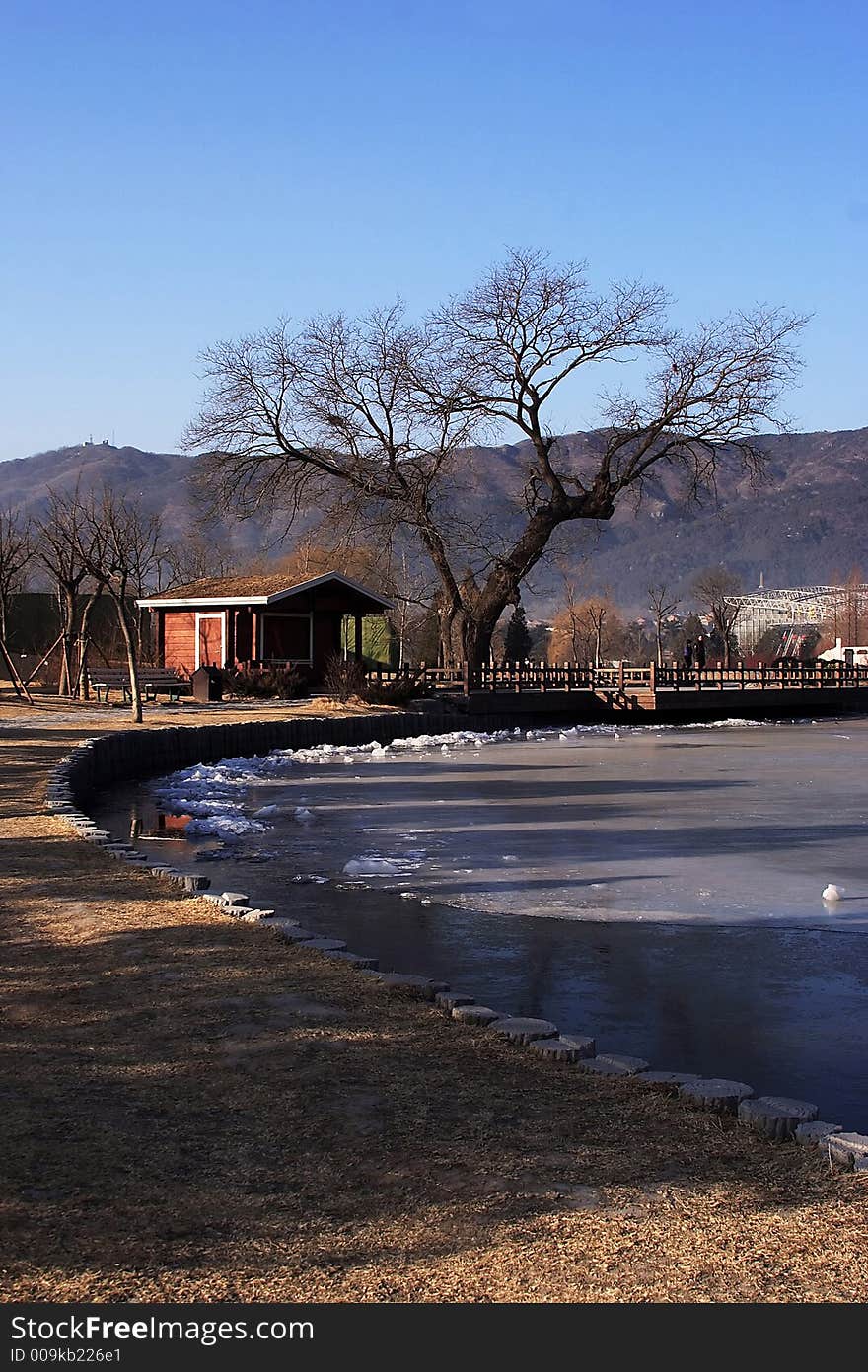 Winter landscape in Beijing botanical garden, China.