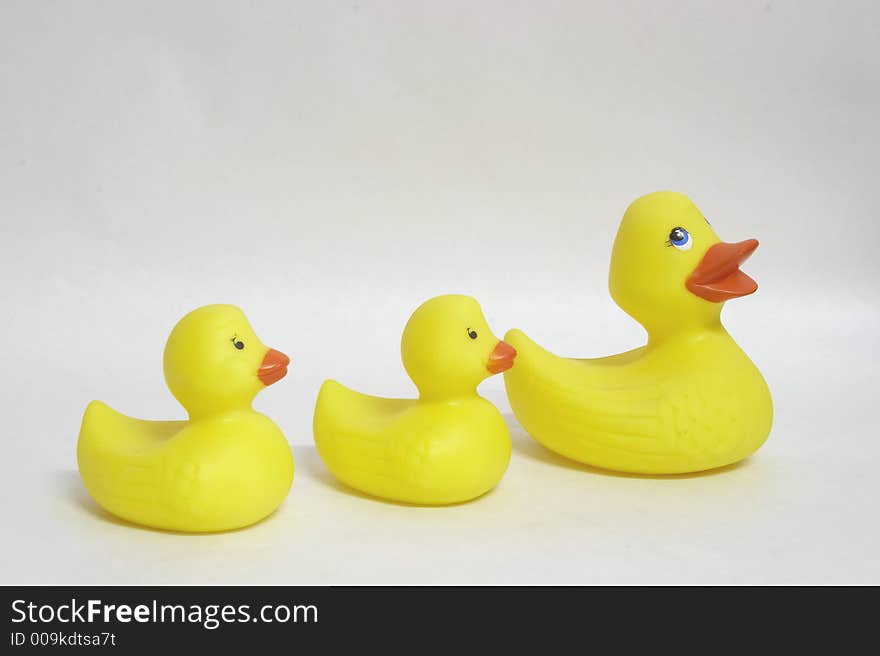 Rubber ducks on a white background