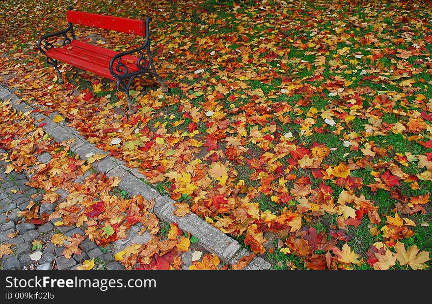 Red bench in autumn in the park