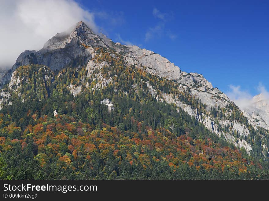 Mountain peak and forest in autumn, on a sunny day