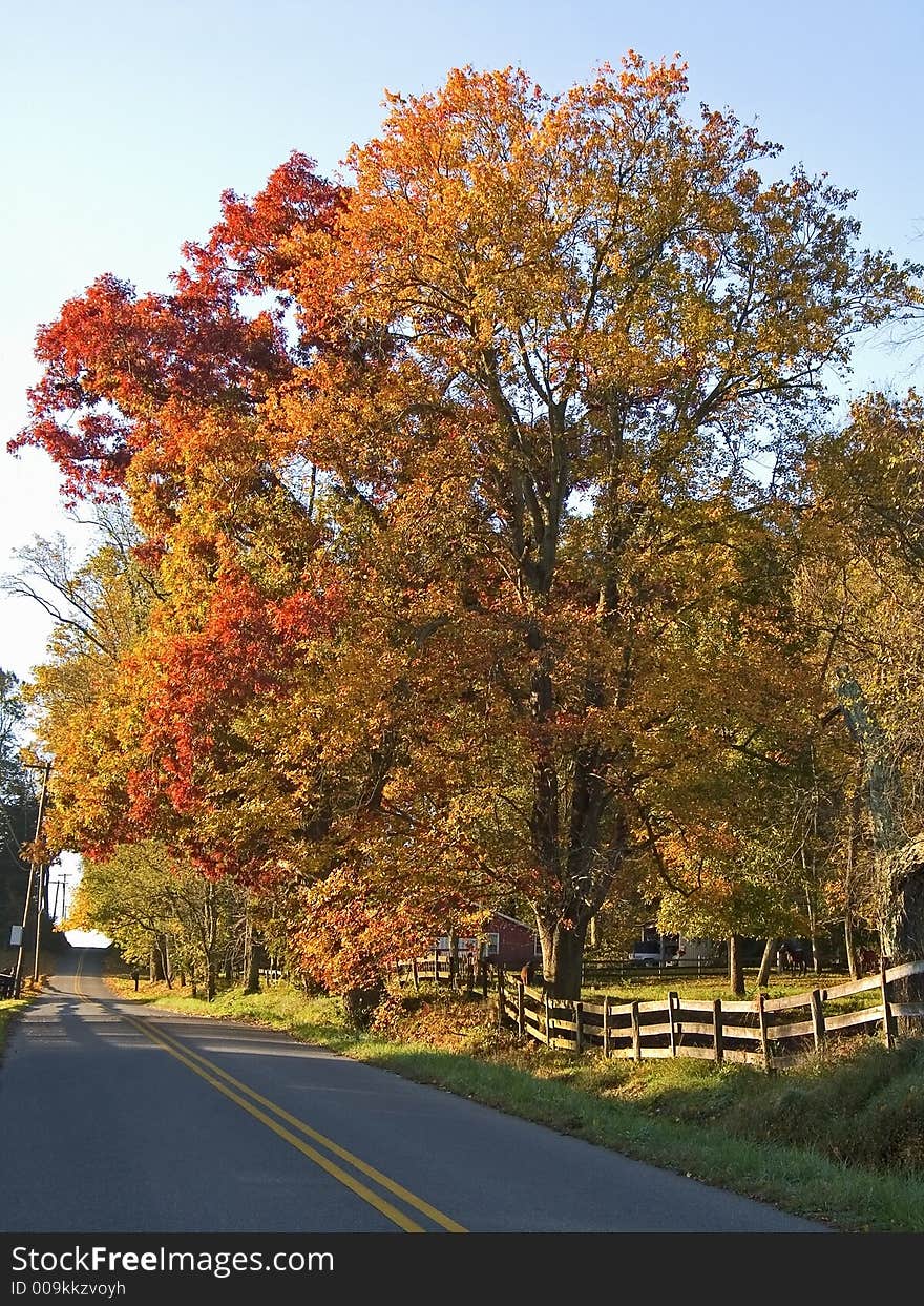 A view of a country road in a rural section of New Jersey during Autumn. A view of a country road in a rural section of New Jersey during Autumn.