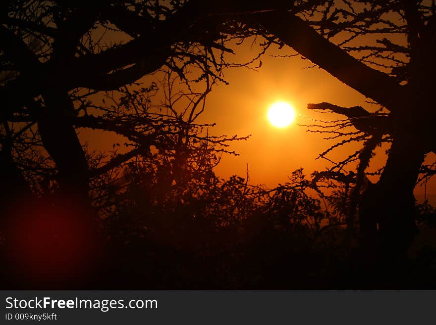 African sunrise