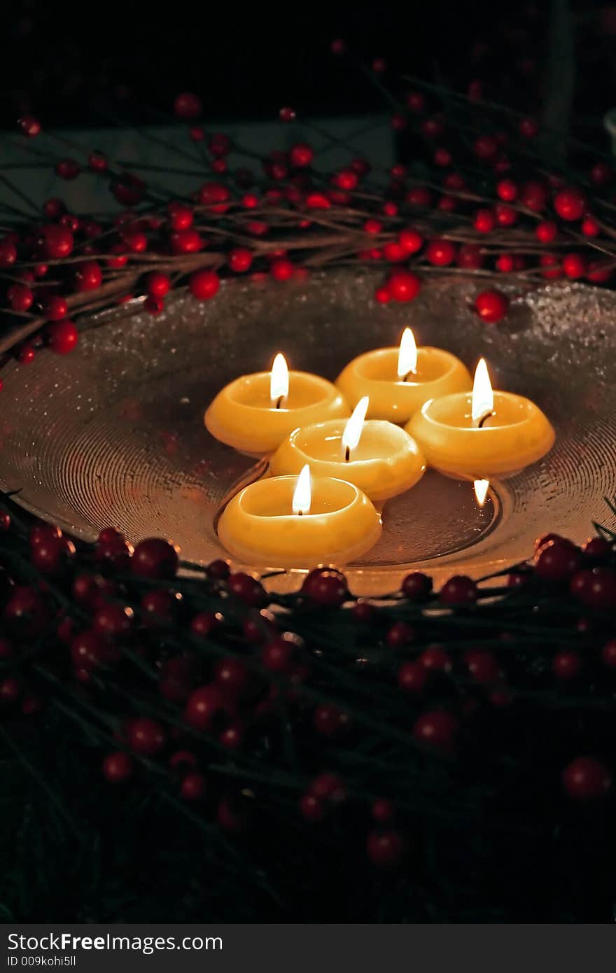 Holiday evening  decoration with red berry and lights in water. Holiday evening  decoration with red berry and lights in water